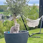 Panorama Appartamento