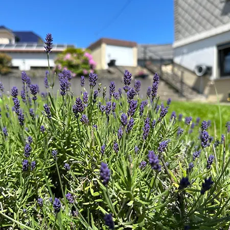 Lägenhet Panorama *